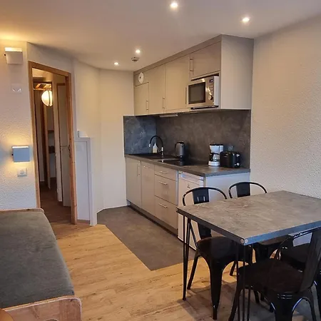 Confort Renove Pour 4 Personnes, Skis Aux Pieds - Fr-1-181-2574 Apartmán *